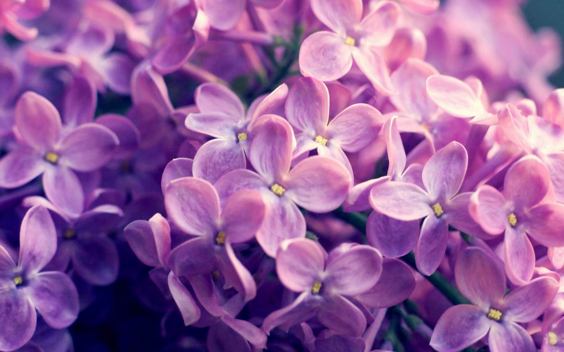 fb体育中国-今年NBA防守效率最高的球队，都有哪些？，nba防守效率球队排名