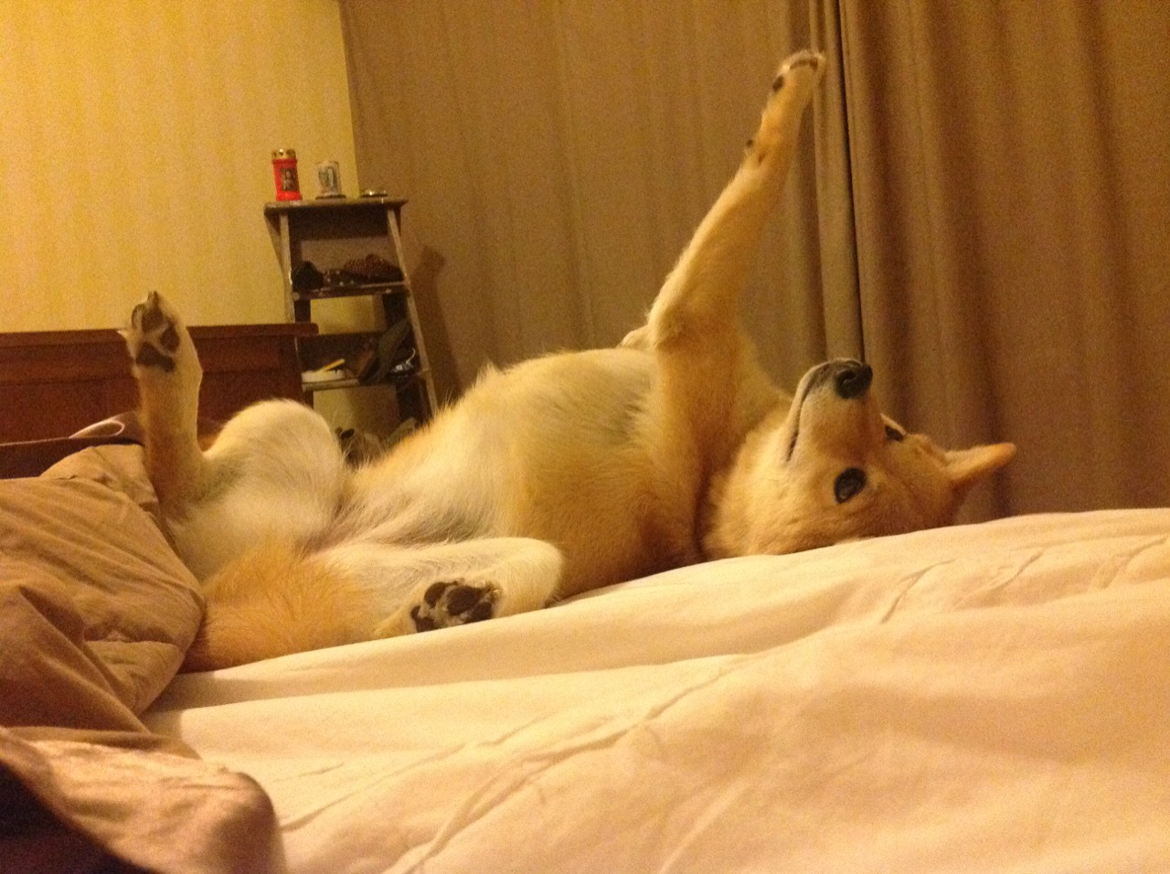 FB体育-英超：利物浦连续5场保持零封，防线越发坚韧，利物浦英超集锦