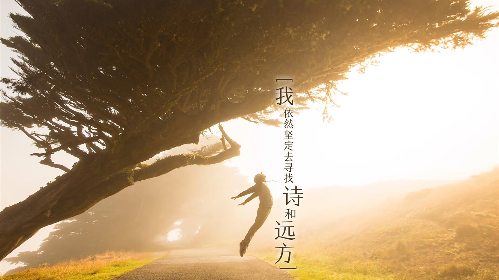 FBSPORTS-TL国际赛经验持续累积，ti国际邀请赛奖金