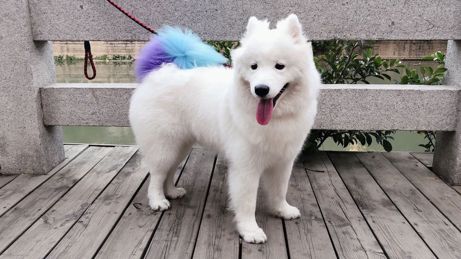 fb体育平台安全-内蒙古队战胜云南，提前晋级季后赛，内蒙古20—21wcba回放