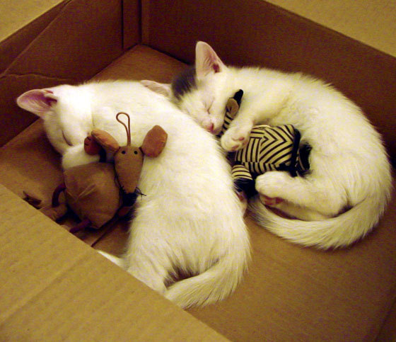 FB体育注册网址-壓倒性控球率傳達出球隊實力和戰術，压倒性含义