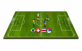 FB体育app下载-青少年体育运动安全保障体系构建与应用研究，青少年体育工作