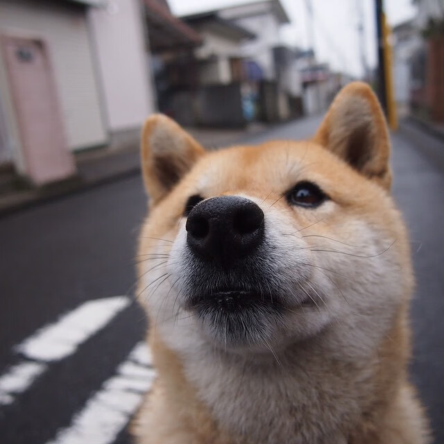 青少年体育运动安全保障体系构建与应用研究,青少年体育工作